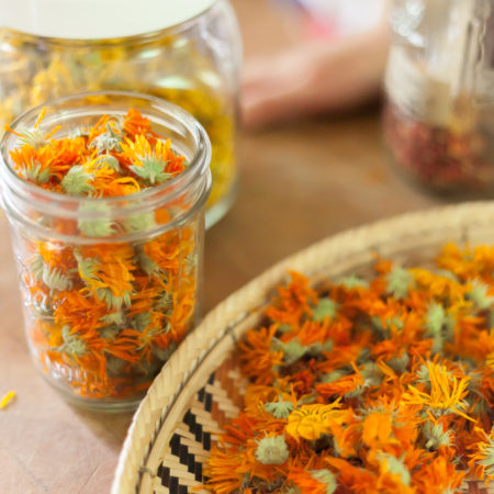 Calendula From The Art Of Home Herbalism Online