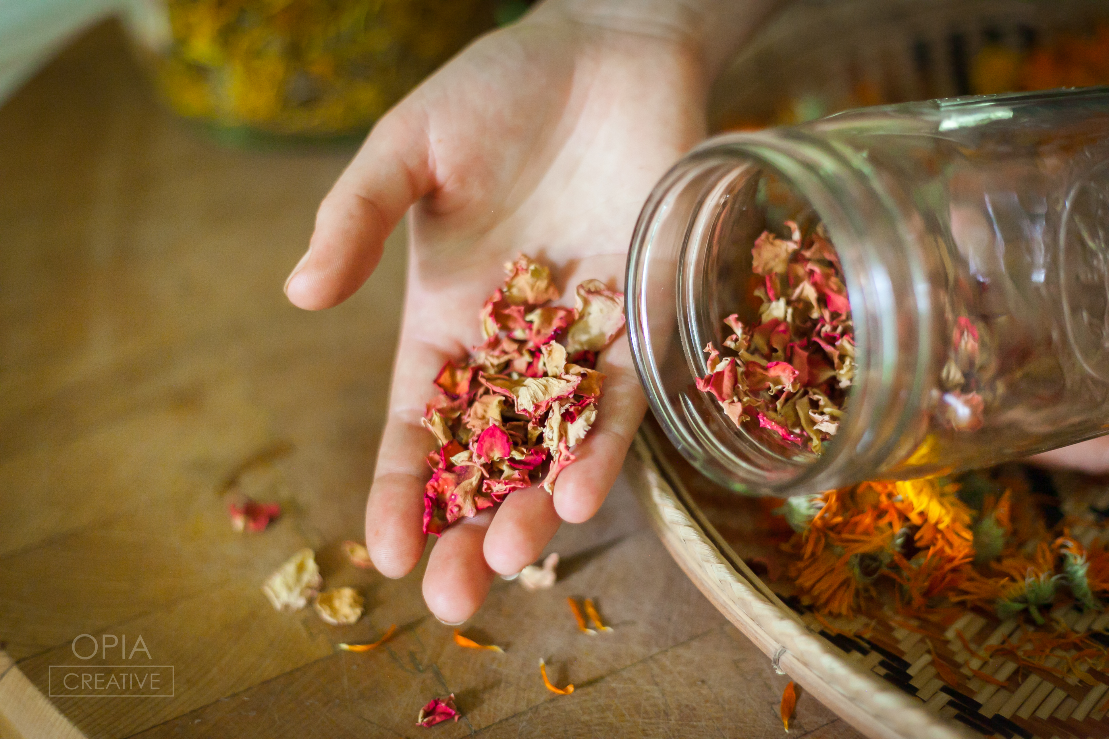 The Art of Home Herbalism Online