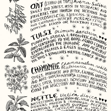 Tea & Infusion Herbs Poster